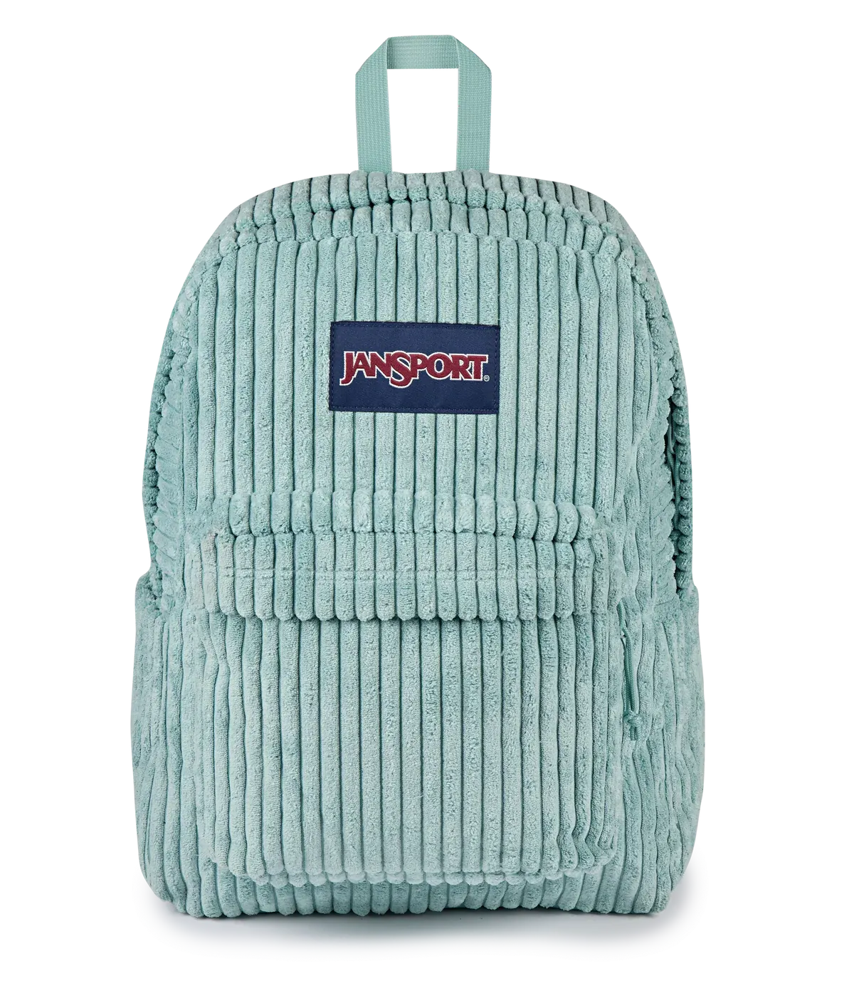 #color_Surreal Corduroy Sage