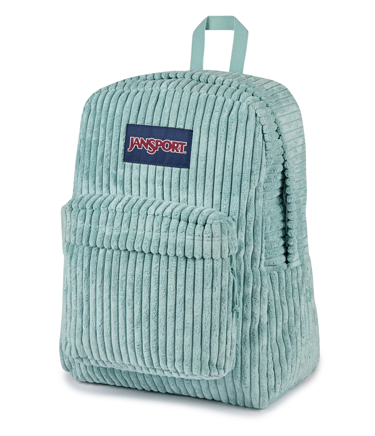 #color_Surreal Corduroy Sage