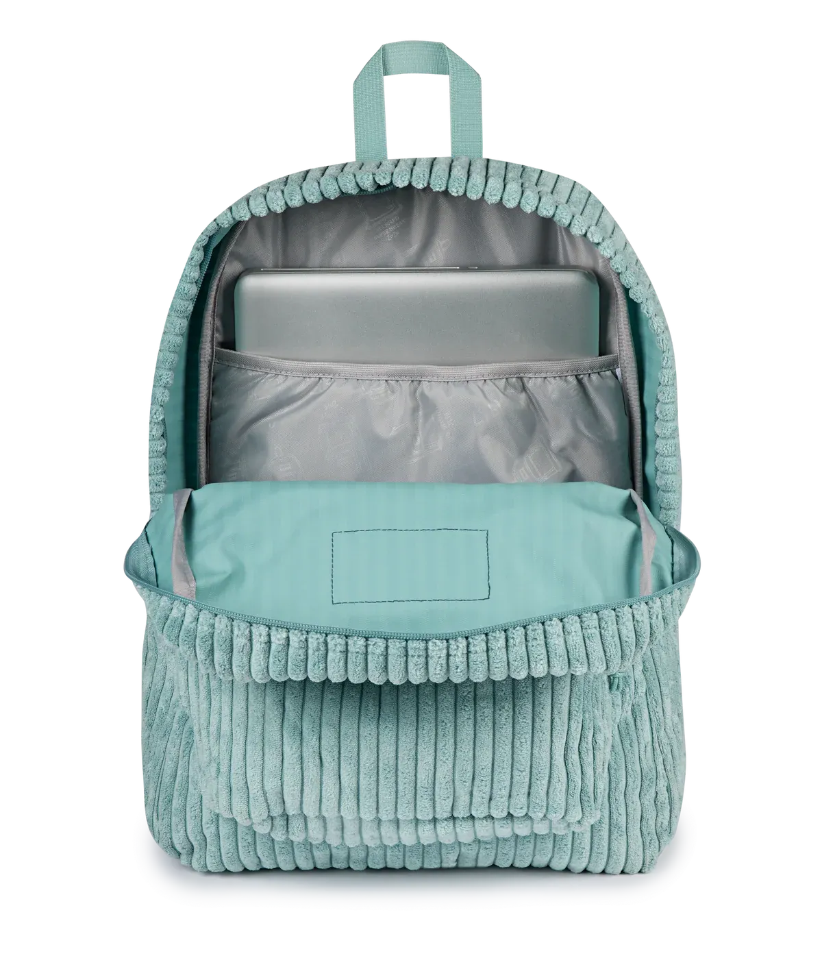 #color_Surreal Corduroy Sage