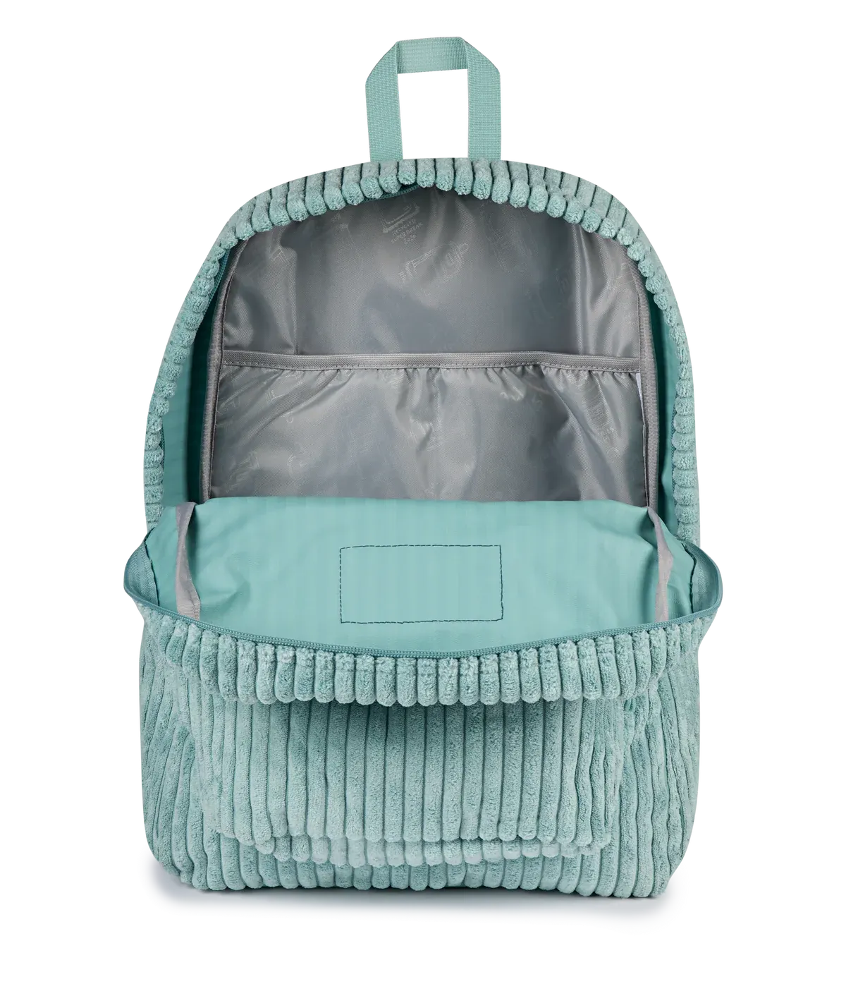 #color_Surreal Corduroy Sage