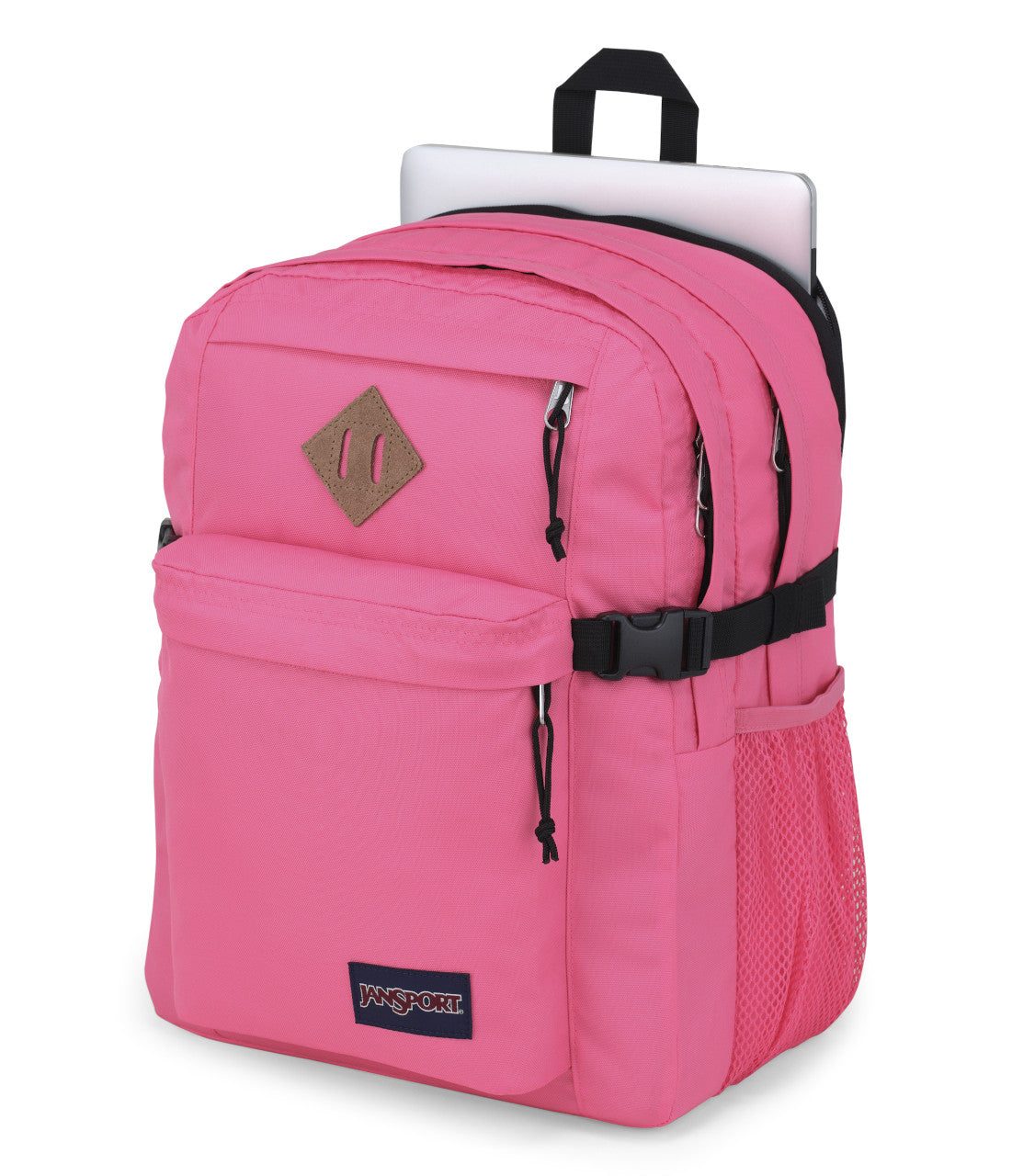 #color_Posh Pink