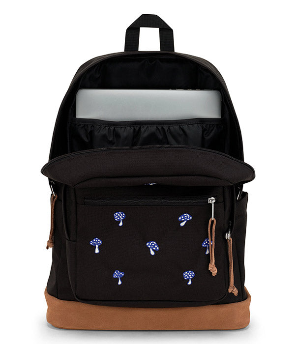 Jansport expressions backpack online