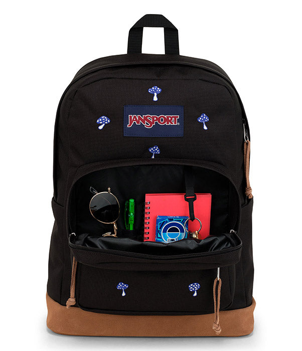 Right Pack Expressions Backpack Jansport Canada