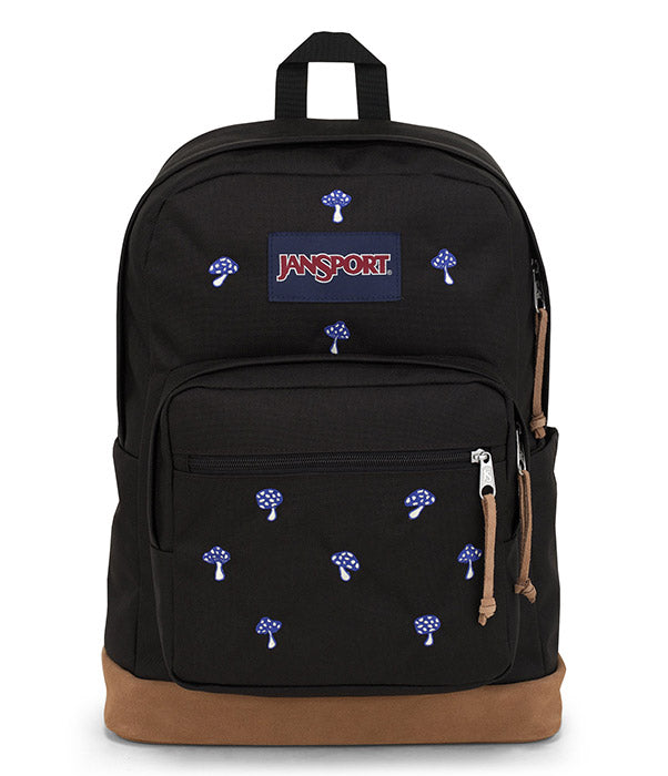 Right Pack Expressions Backpack Jansport Canada